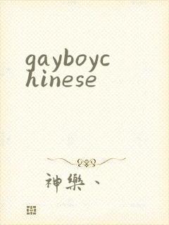 gayboychinese