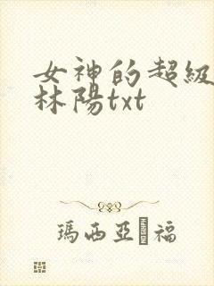 女神的超级赘婿林阳txt封面