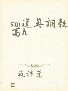sm道具调教文高h