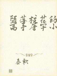 堕落校花的贴身高手唐宇小说