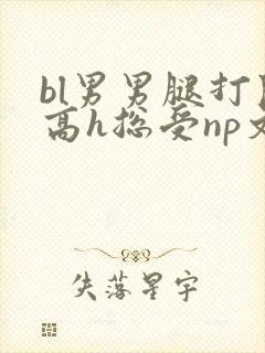 bl男男腿打开高h总受np文