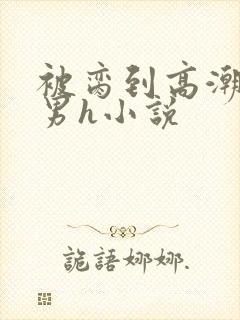 被脔到高潮的直男h小说封面
