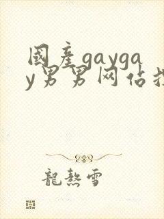国产gaygay男男网站搜索封面