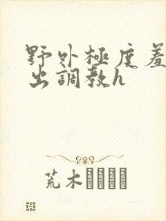 野外极度羞耻露出调教h