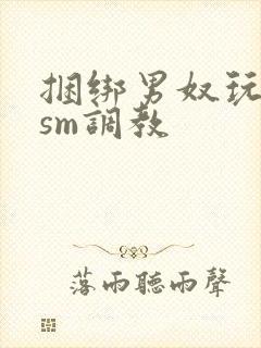 捆绑男奴玩各种sm调教