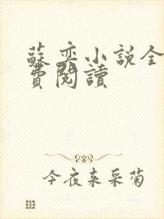 苏奕小说全文免费阅读