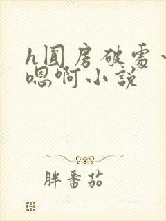 h圆房破处~h嗯啊小说