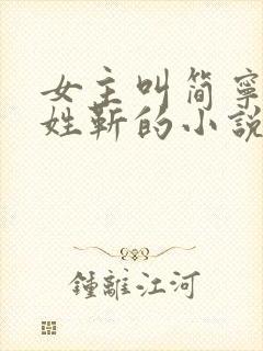 女主叫简宁男主姓靳的小说