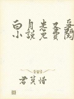 白月光又争又抢小说免费阅读