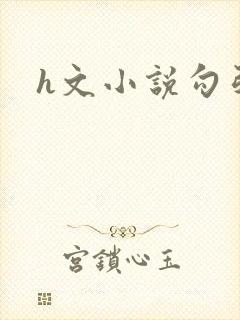 h文小说勾引