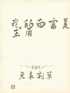 我的白富美老婆主角