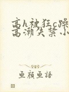 高h被狂c躁到高潮失禁小说