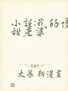 小说:我的傻白甜老婆