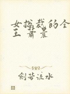 女总裁的全能兵王 萧晨