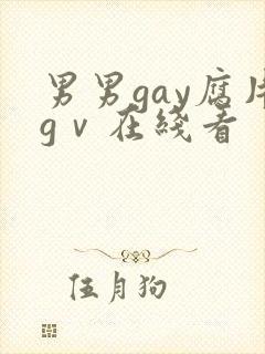 男男gay腐片gⅴ在线看