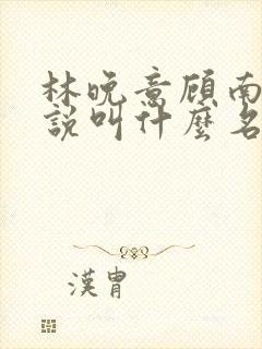 林晚意顾南辰小说叫什么名字