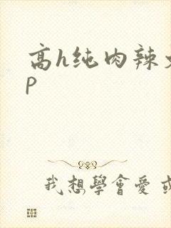 高h纯肉辣文np