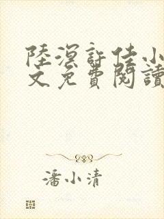 陆溟许佳小说全文免费阅读封面