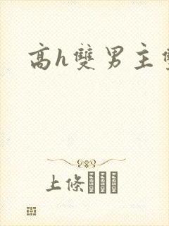 高h双男主双性封面