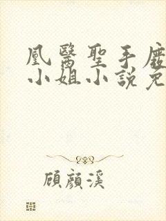 凰医圣手废材九小姐小说免费