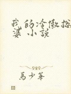 我的冷傲总裁老婆 小说封面