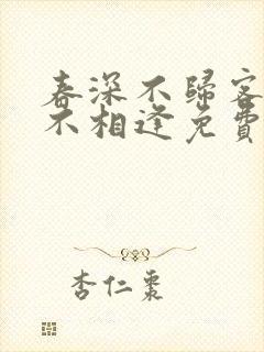 春深不归客清梦不相逢免费