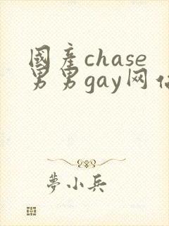 国产chase男男gay网站同性恋