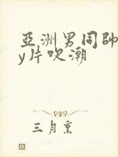 亚洲男同帅gay片吹潮