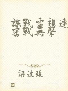 谍战电视连续剧密战无声封面