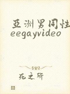 亚洲男同性freegayvideo