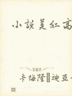 小说美红高义