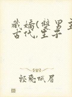 藏娇(双男主)古代,生子