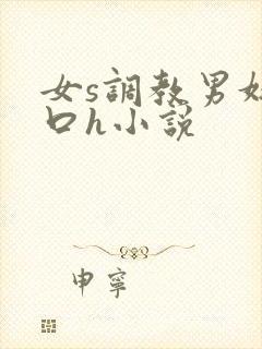 女s调教男奴重口h小说封面