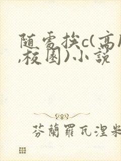 随处挨c(高h,校园)小说