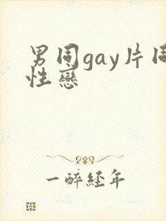 男同gay片同性恋