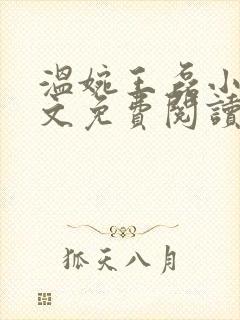 温婉王磊小说全文免费阅读无弹窗封面