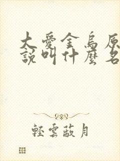 大爱金乌原著小说叫什么名字