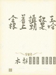含着摄政王的紫根上朝是啥小说