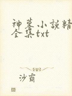 神墓小说精校版全集txt