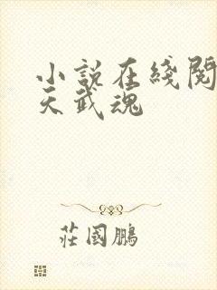 小说在线阅读霸天武魂