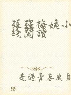 张强梅姨小说在线阅读封面