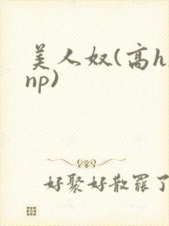美人奴(高h,np)