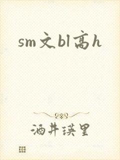 sm文bl高h