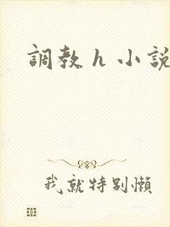 调教 h 小说