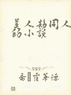美人劫同人改编的小说封面