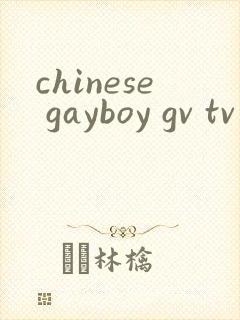 chinese gayboy gv tv封面