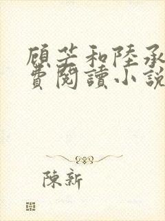 顾芒和陆承洲免费阅读小说下拉式