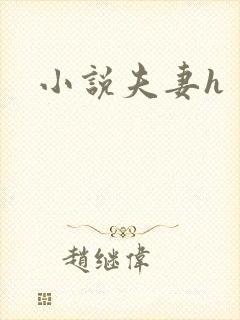 小说夫妻h
