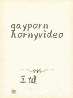gaypornhornyvideo封面