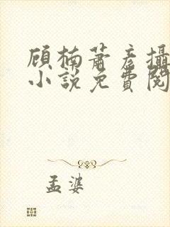顾楠萧彦摄政王小说免费阅读封面